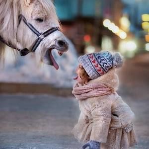 Meet your Posher, Dima